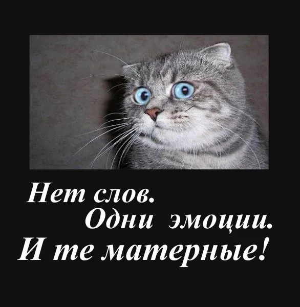 Новые законы, вступающие в силу сегодня #1