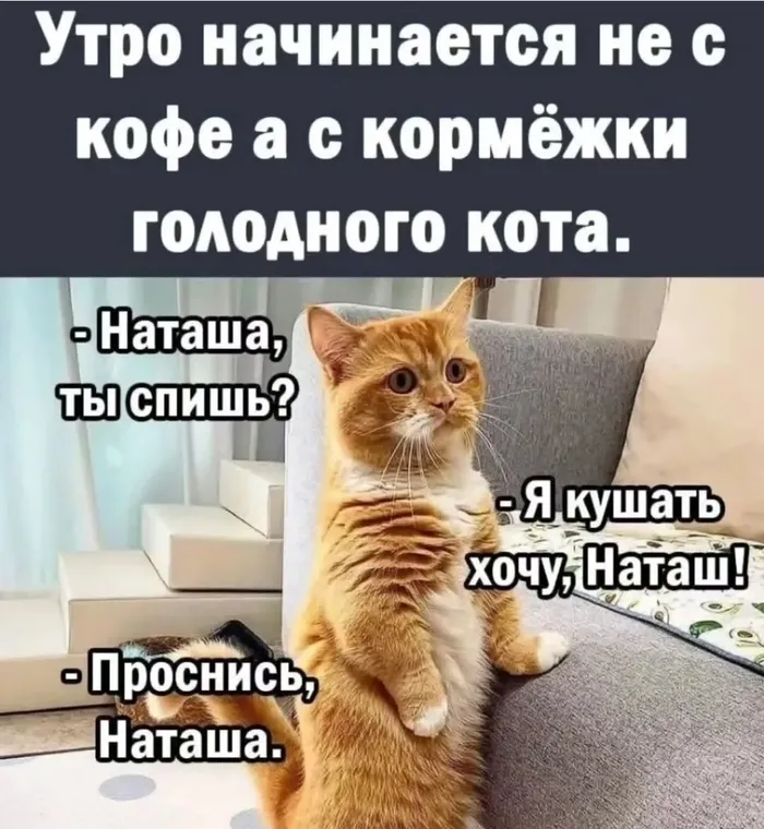 Любое утро должно начинаться правильно #1