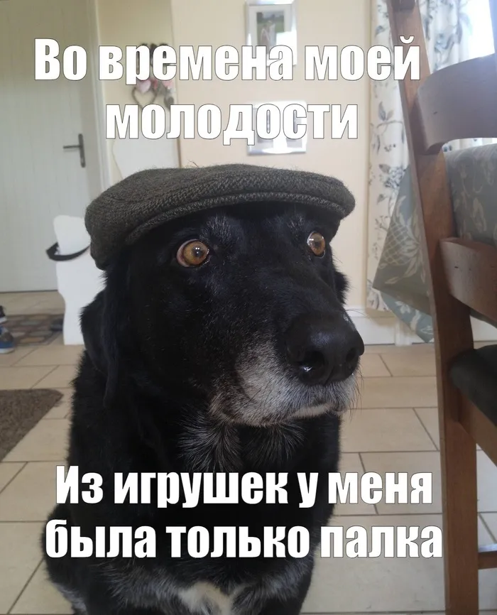 Современное поколение совсем зажралось #1