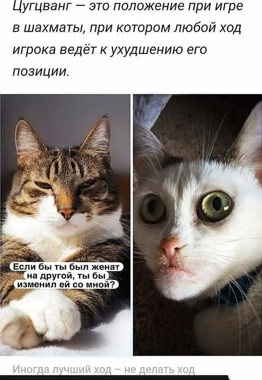 Цугцванг #1