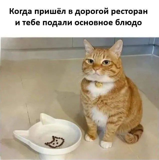 Кушать подано #1