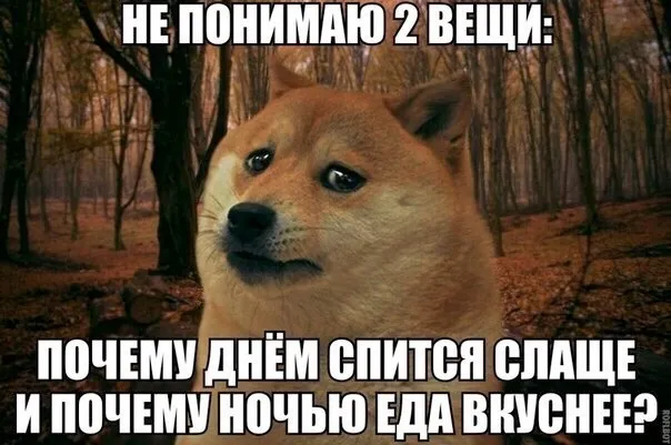 Не понимаю... #1