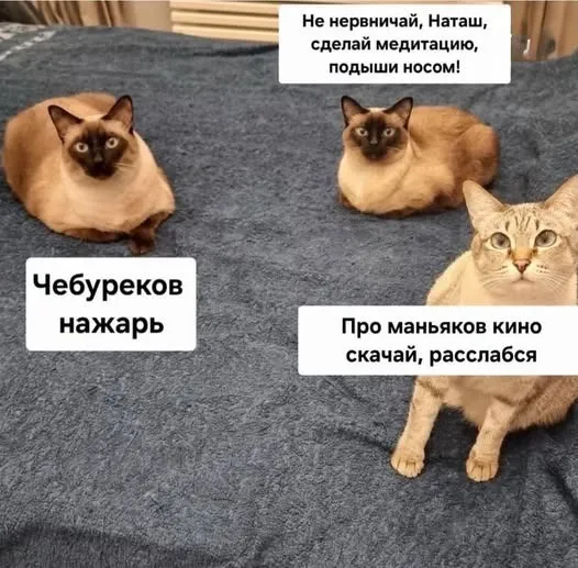 Наташ, мы все уронили, но ты не нервничай! #1