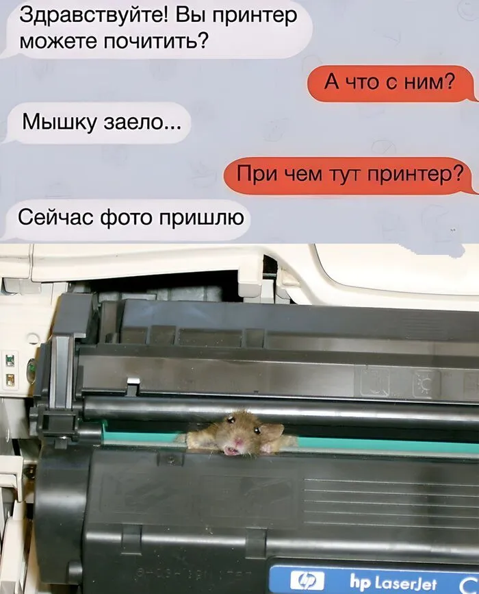 Мышку заело... #1