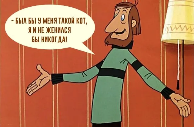 Дальнобойщик развелся с женой из-за пропавшего кота  #1