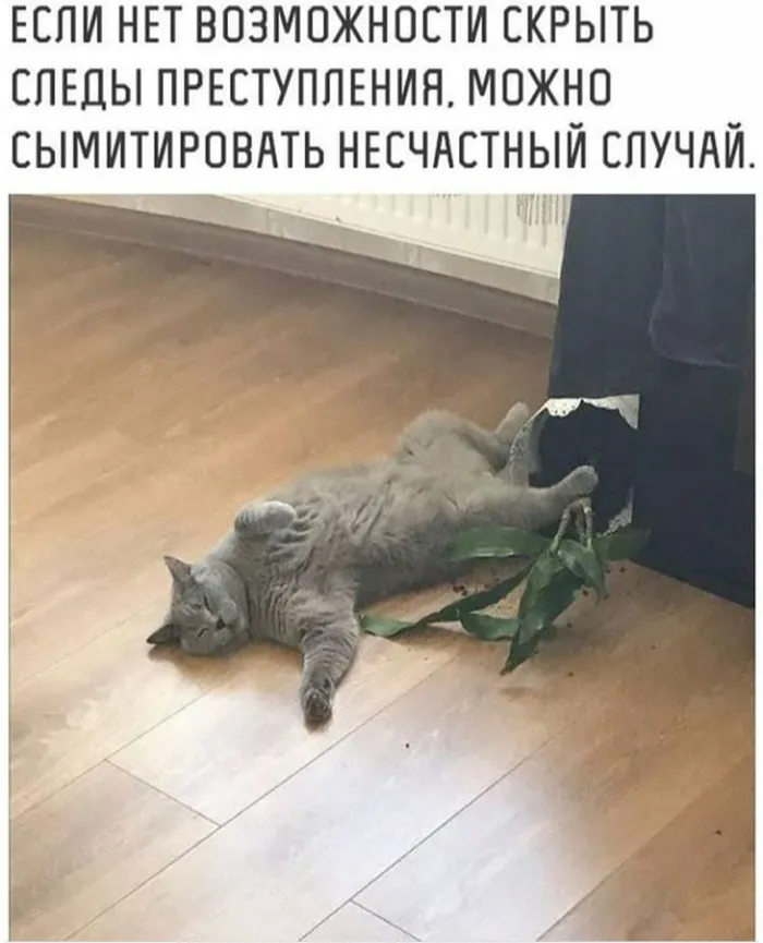 😀 #1