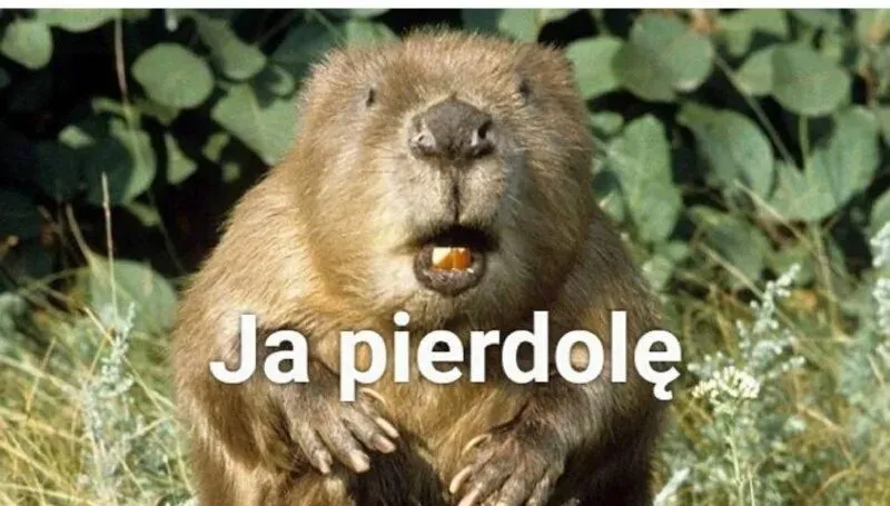 О как!  #1