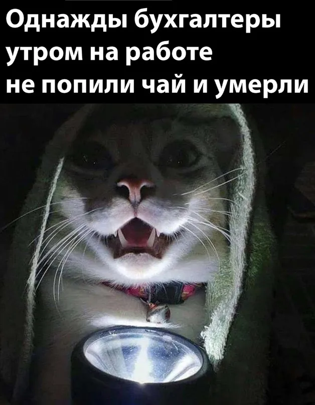 Страшная история вам на ночь... #1