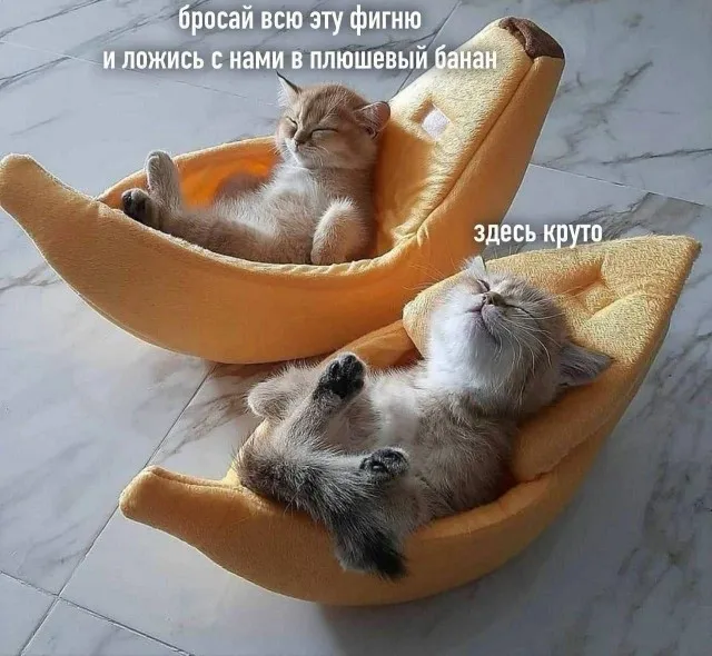 Доброе утро! #1