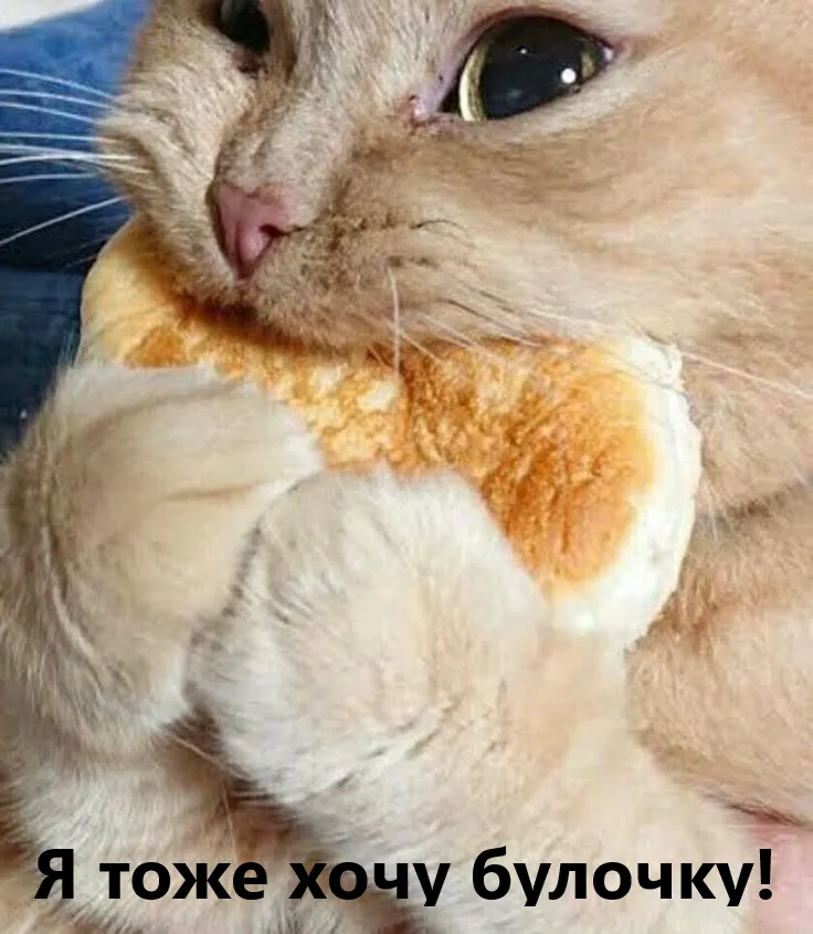 Булочки — Вкусняшка #1