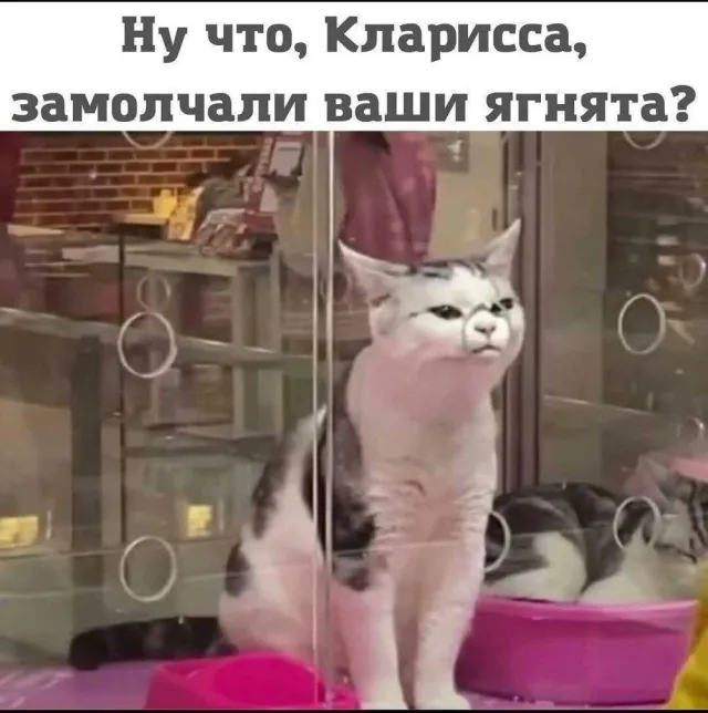 Молчание котят #1