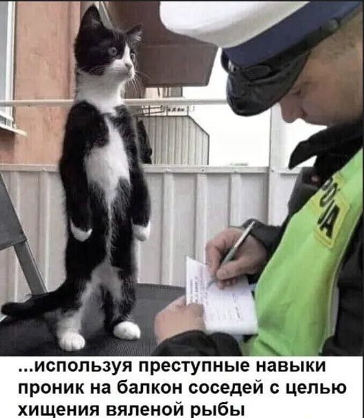 Так и запишем... #1