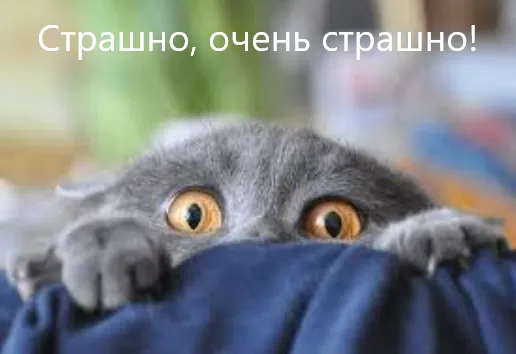Добро пожаловать на нижние этажи офиса Talkvio #1