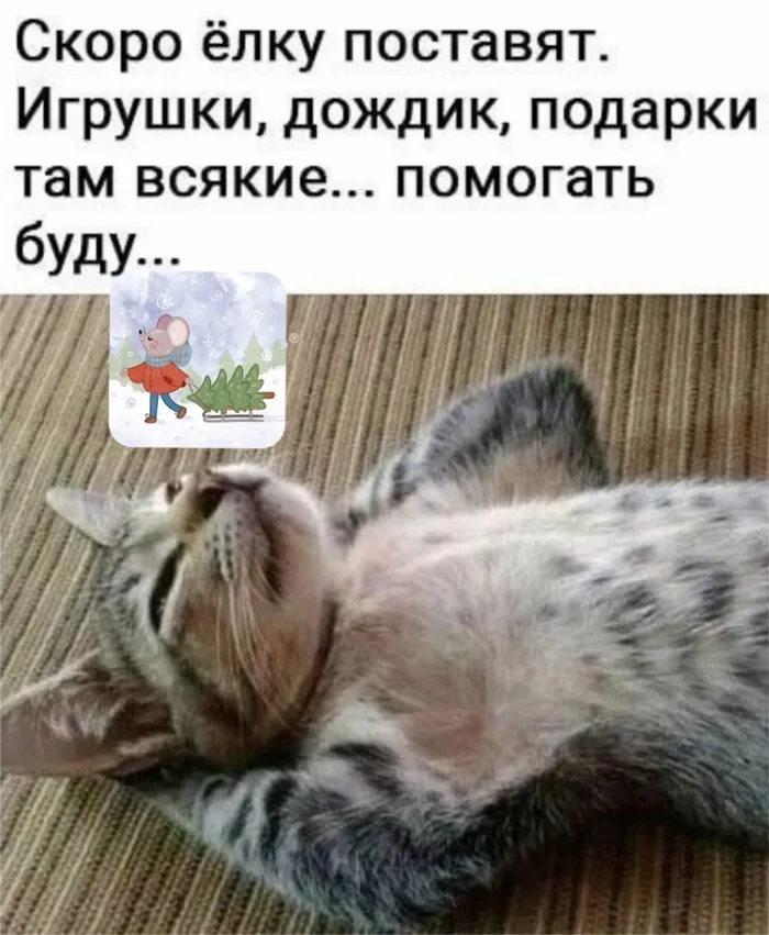 До Нового года остался один месяц!  #1