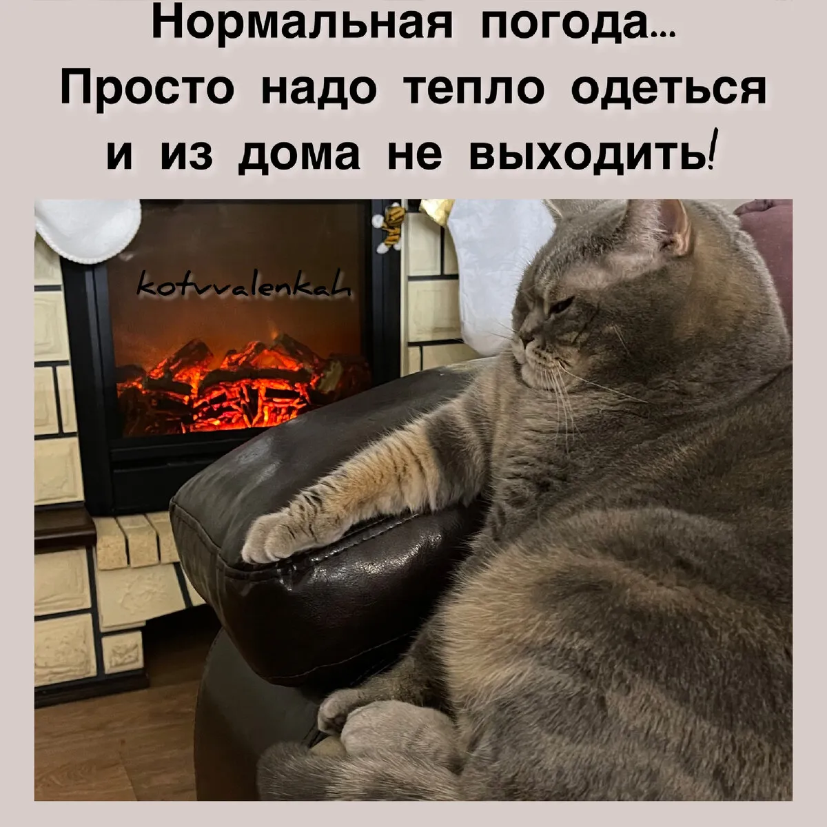 С первым днём зимы! #1