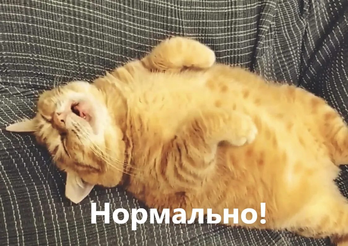 Всем привет #1