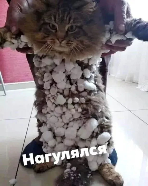 Доброе утро!  #1