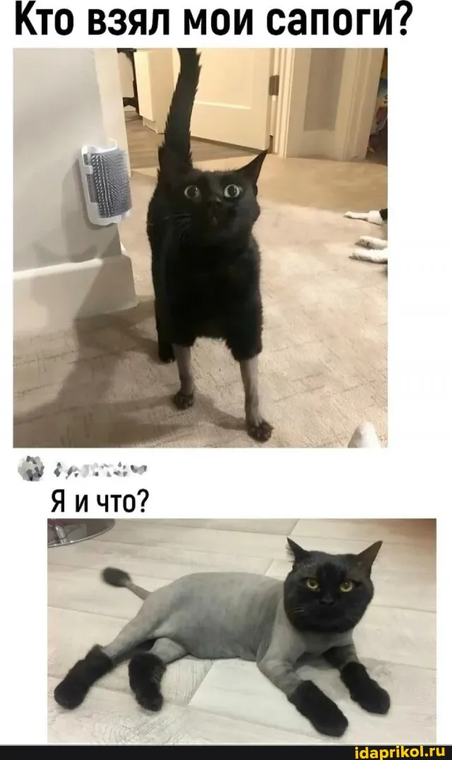 😀 #1