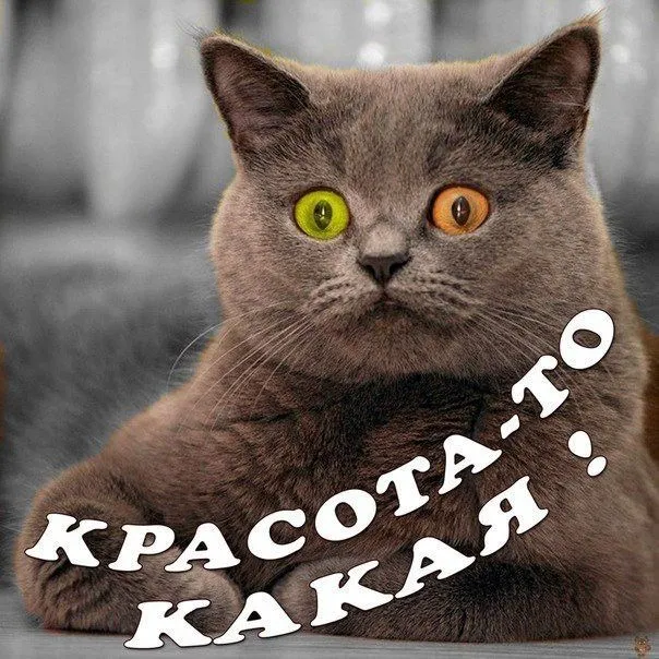 Праздник к нам приходит! #1