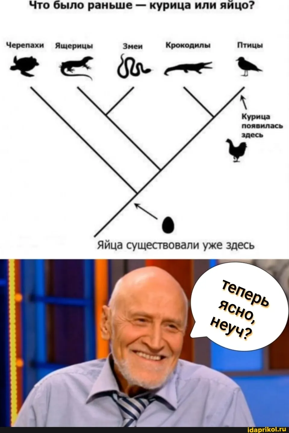 Курица или яйцо? #1