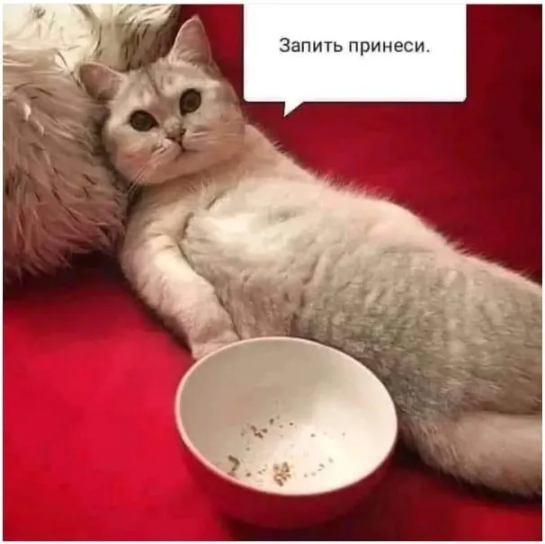 😀 #1