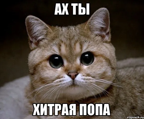 Они эволюционируют!  #1