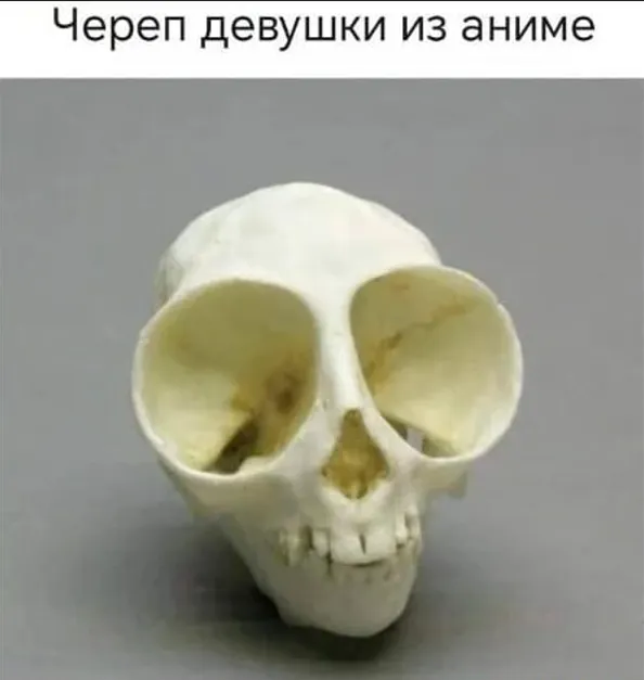 😁 #1