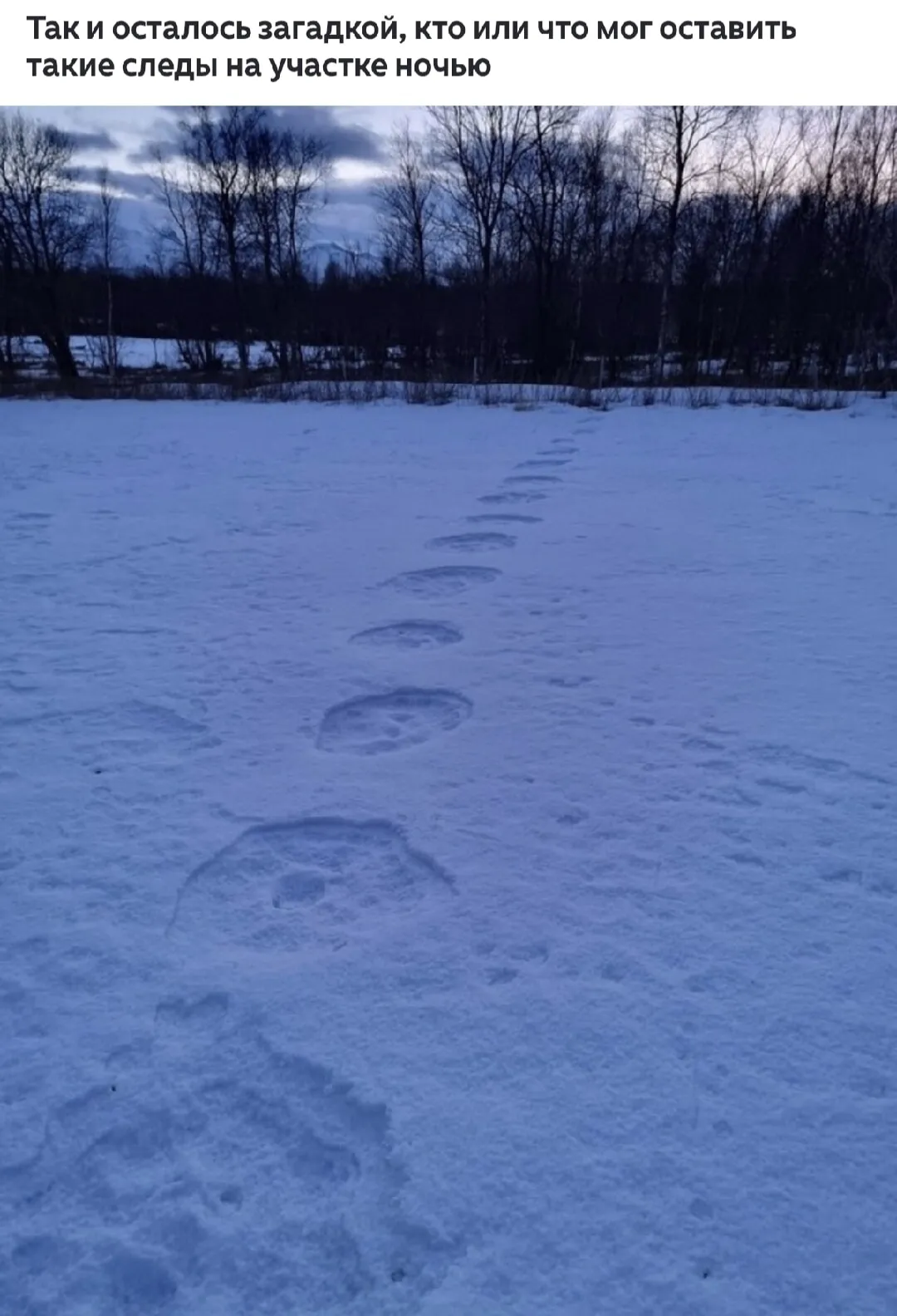 Загадка... #1