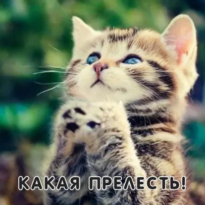 Привет! Я художница, пробую новую соцсеть и надеюсь не остаться незамеченной #1