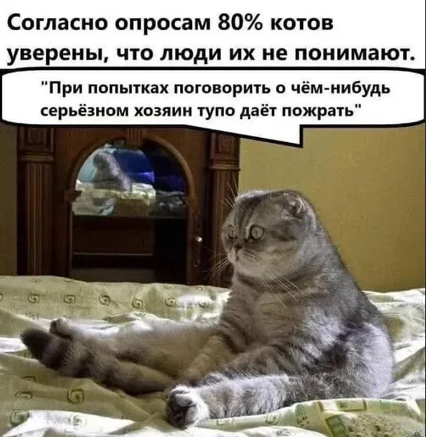 Новости фелинологии  #1
