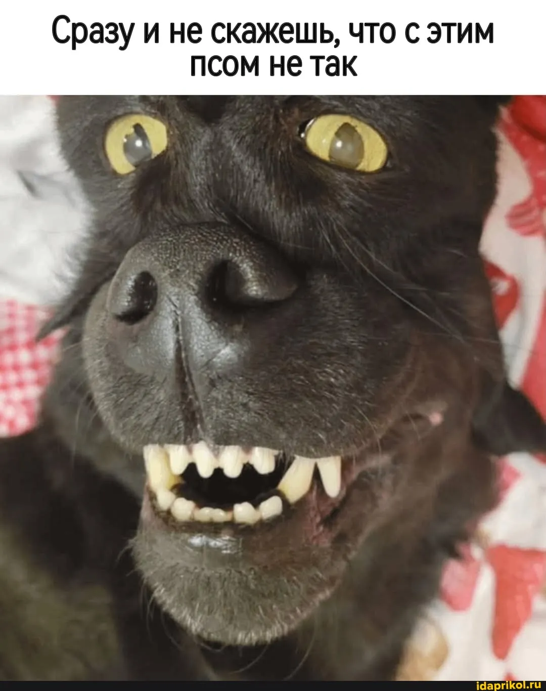 😁 #1