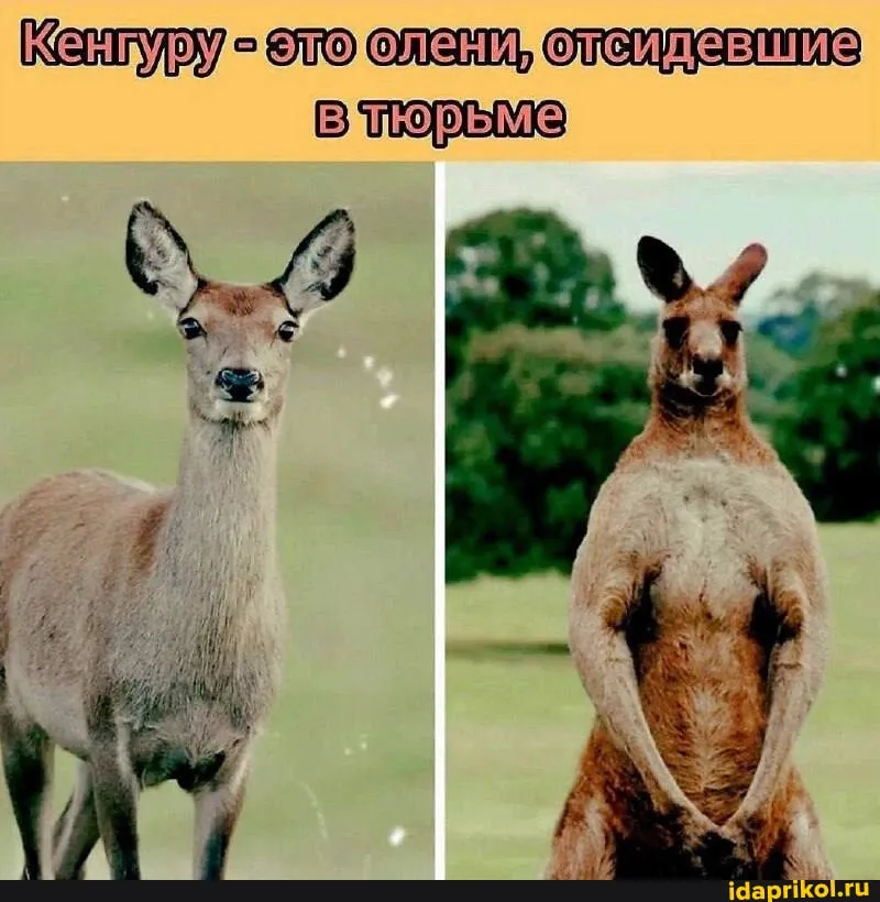 😀 #1