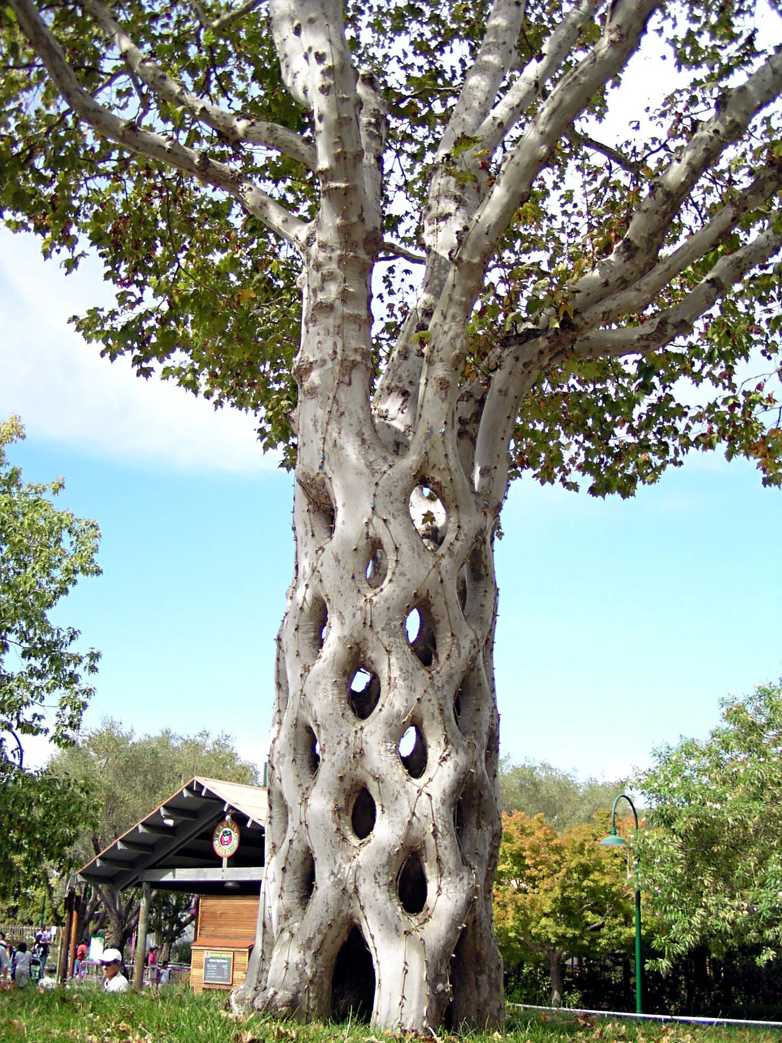 Корзина