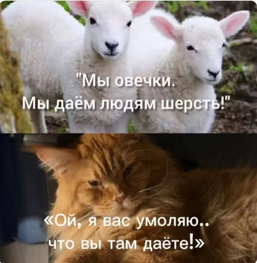 😀 #1