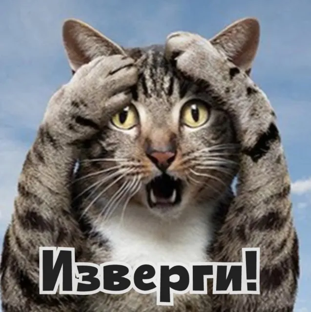 Лайфхак: как «выключить» ночной режим у кота #1