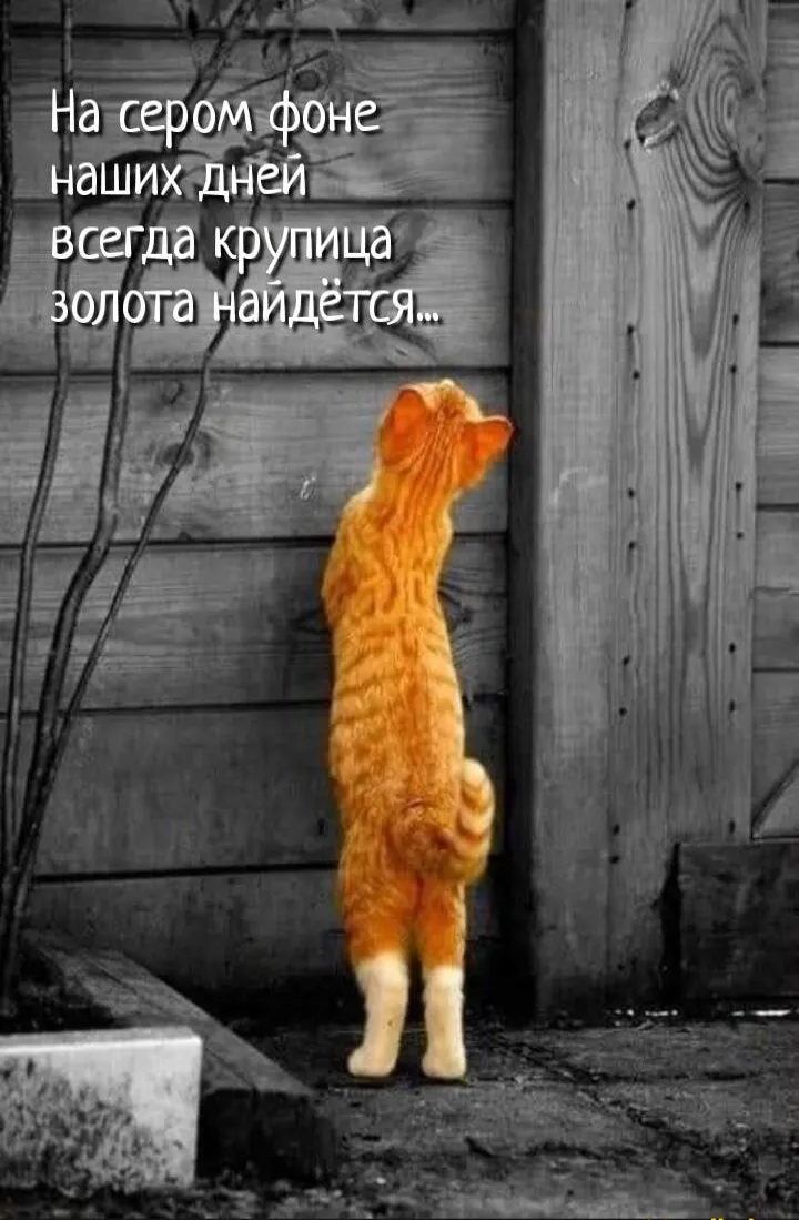 Доброе утро!  #1