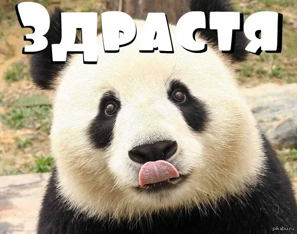 Всем привет #1
