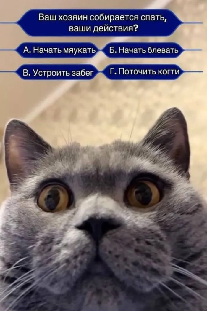 Трудный выбор... #1