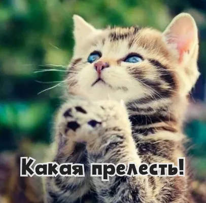 Когда поняла что пришла весна #1