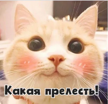 Room комната  #1