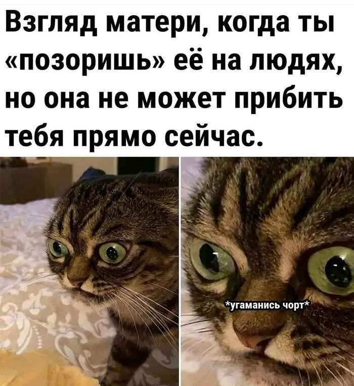 😀 #1