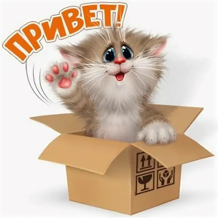Привет #1