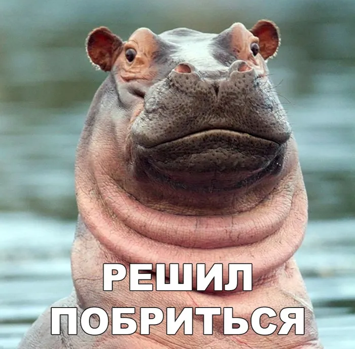 Вот почему многие мужчины отращивают бороду 😁 #1