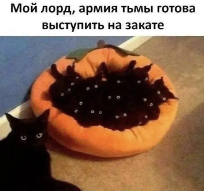 😁 #1