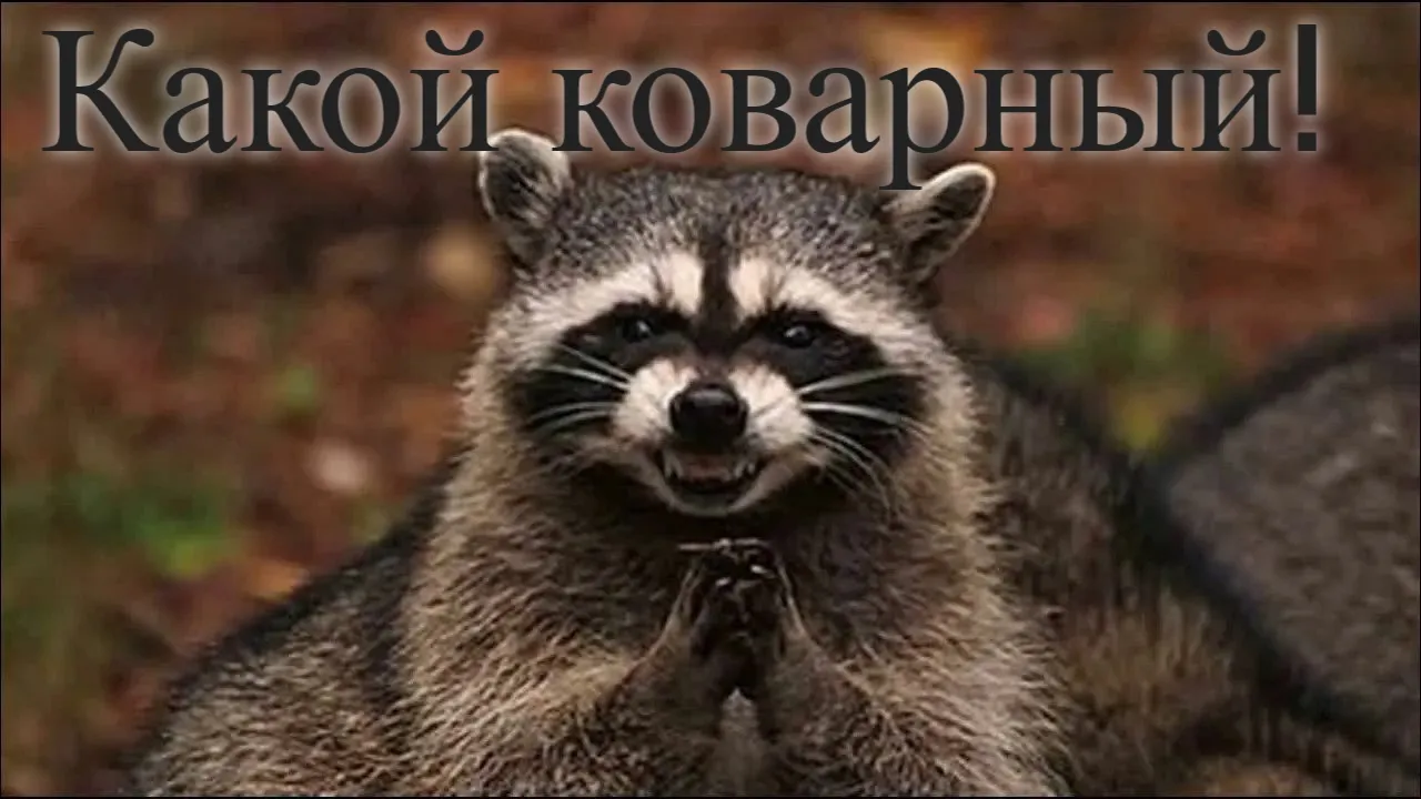 Планировать умеет не только человек #1