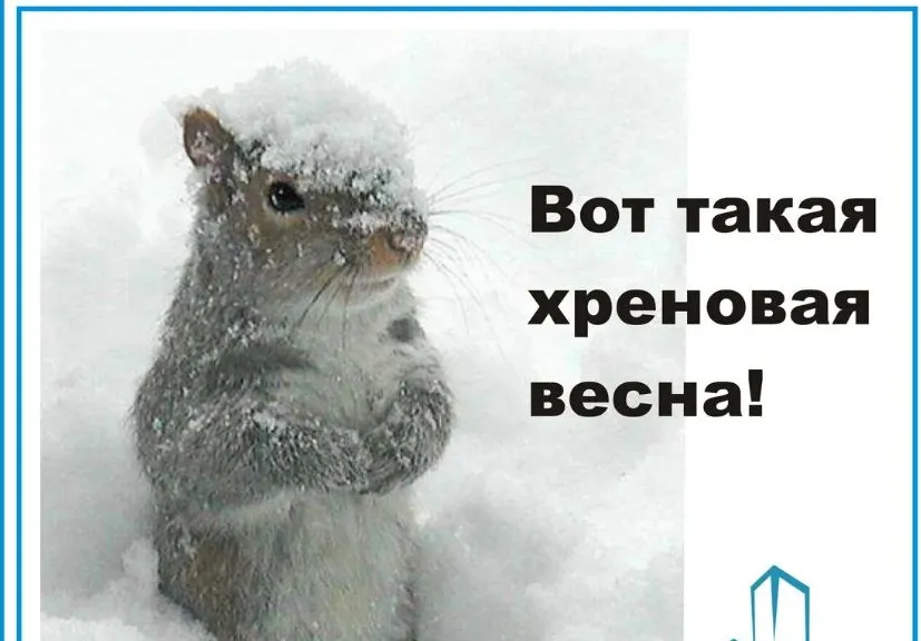 Опять зима #1