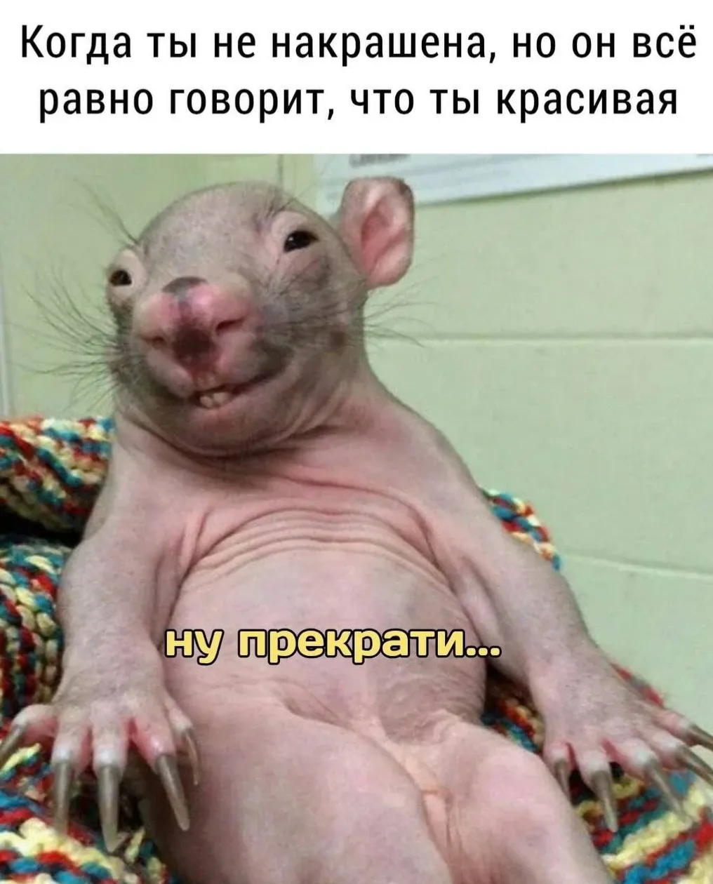 😁 #1