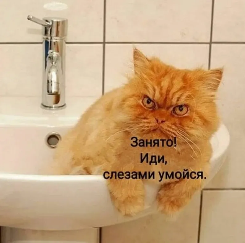 😀 #1