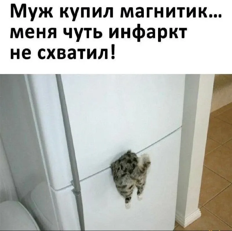 Магнитик 😁 #1