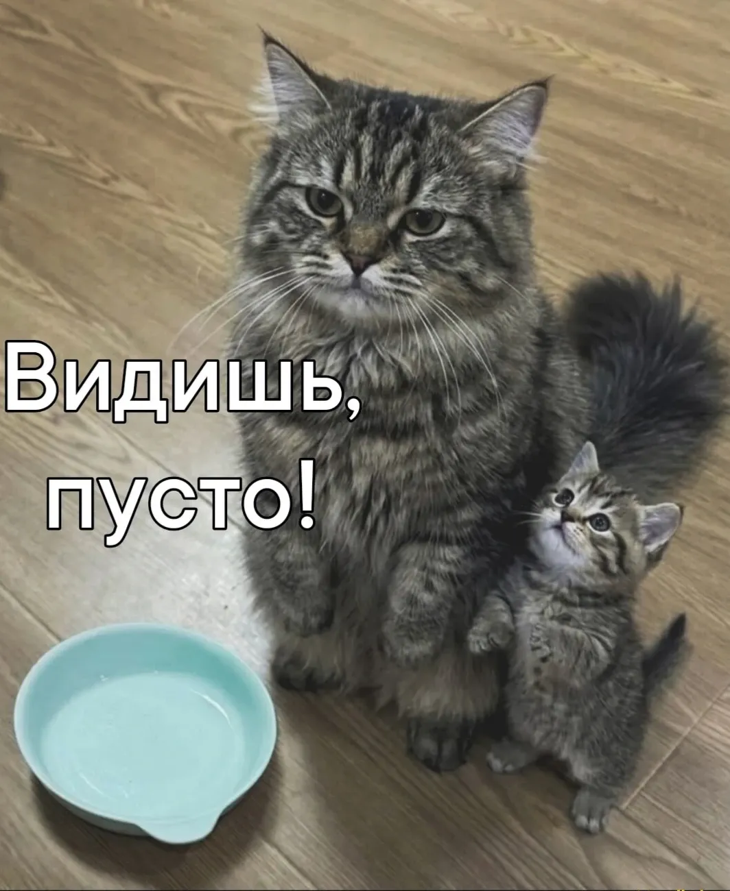 Давай просыпайся уже! #1